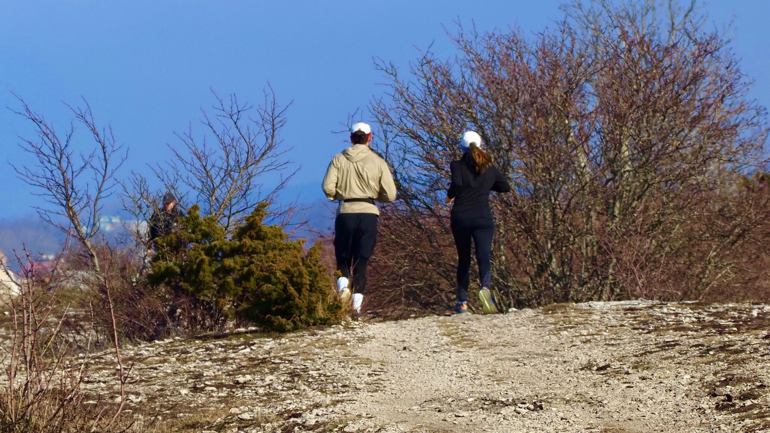 Två personer joggar som del av en löprunda längs en grusad stig, omgivna av vårträd och låga buskar under klarblå himmel – en naturstig i Visby på Gotland.